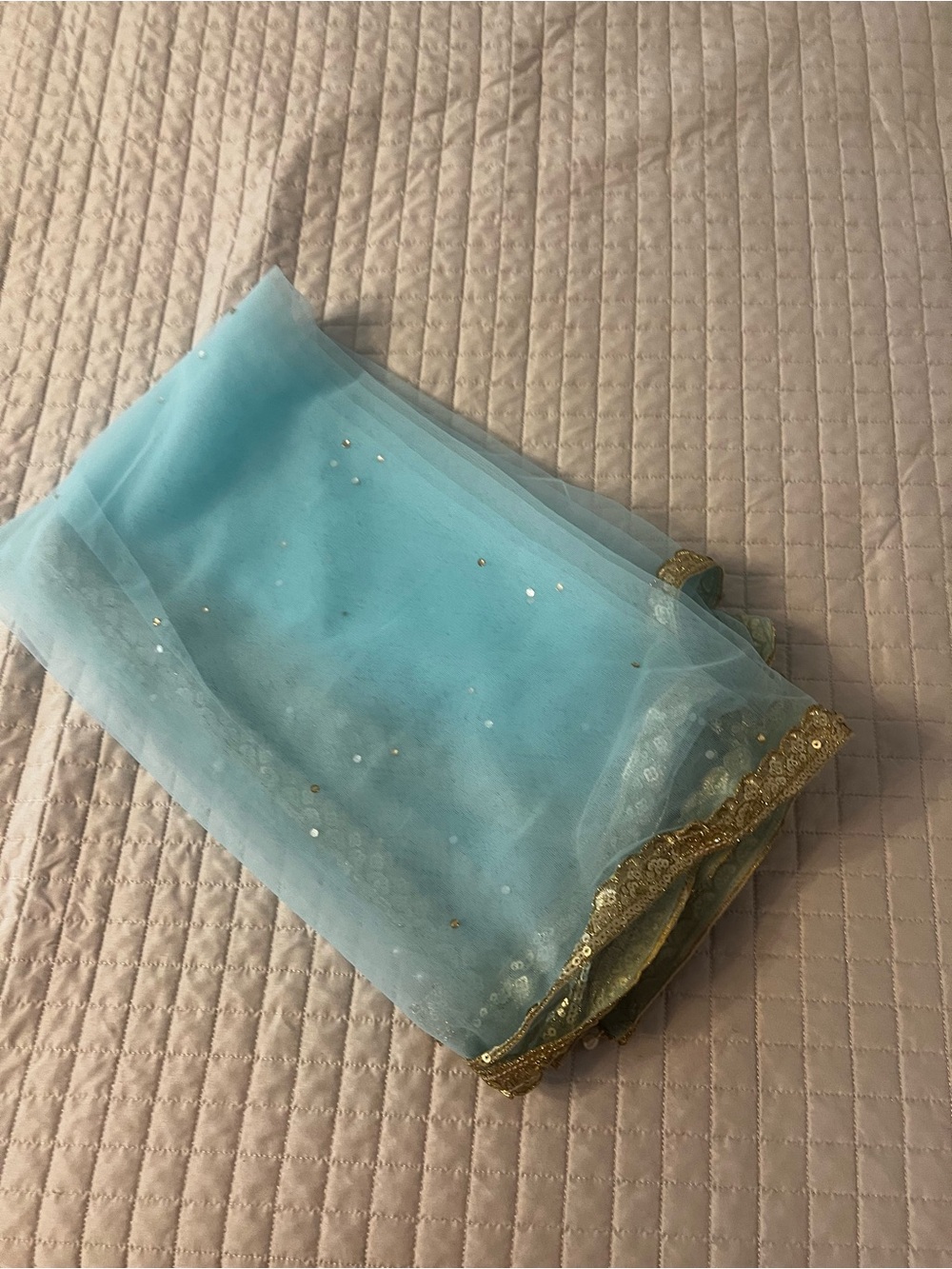 Light Blue Sequin Trim Sheer Dupatta with Gold Border (Never Worn)